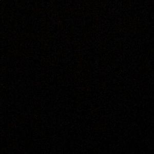 Meet your Posher, Daysi